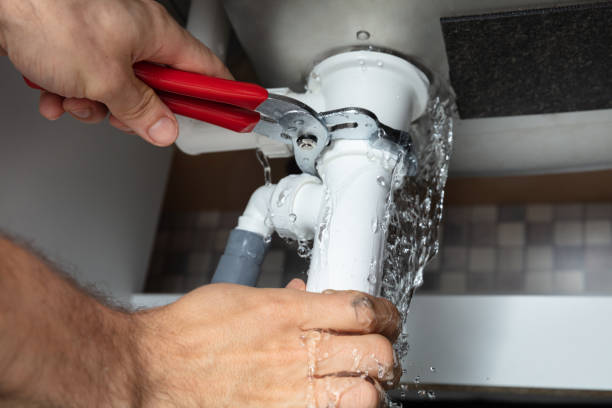 Best 24-hour water damage restoration  in Acres Green, CO