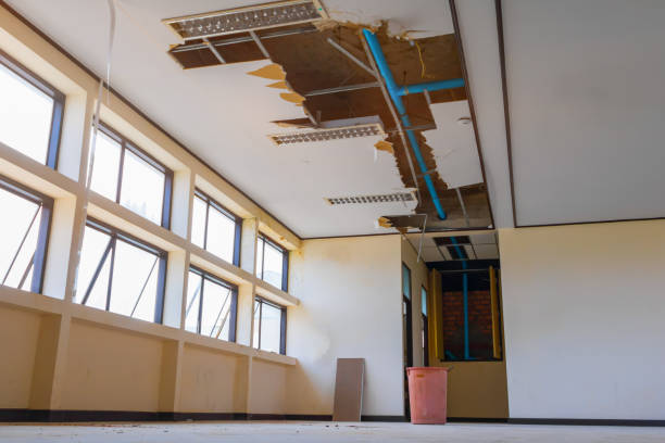 Best Flood damage cleanup  in Acres Green, CO