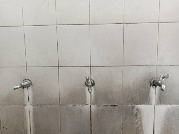 Best Fire Damage Restoration  in Acres Green, CO