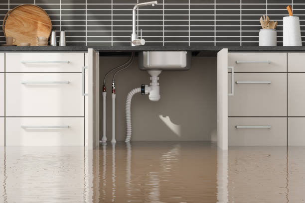 Best Water damage repair service  in Acres Green, CO