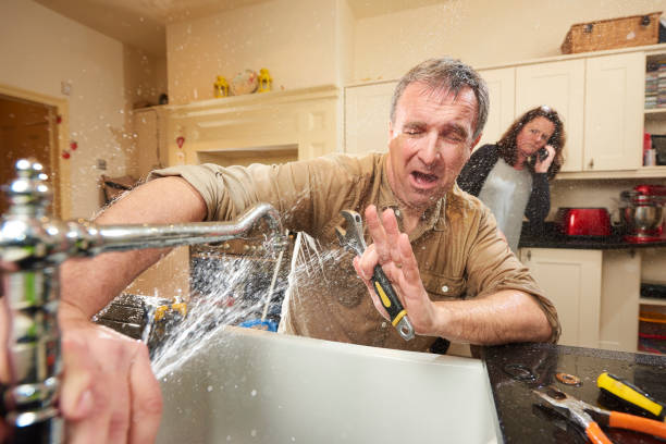 Best Local water damage restoration  in Acres Green, CO